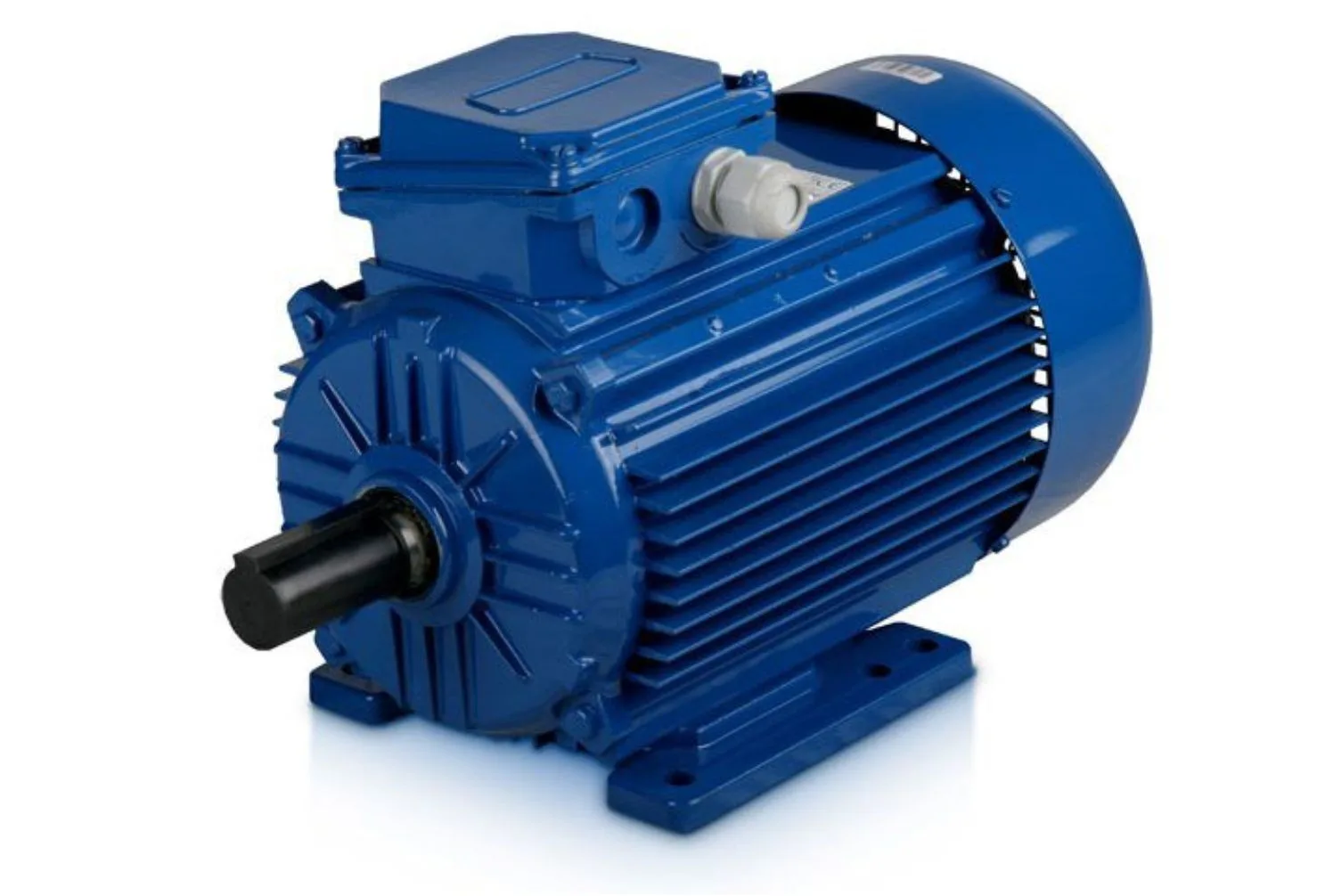 motor listrik 3 fasa