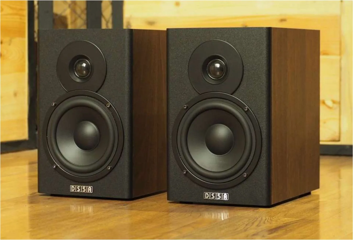 spesifikasi speaker ds5a